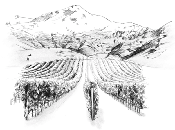 First Paddock2 640x479 png