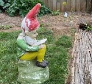 Gnome Pic