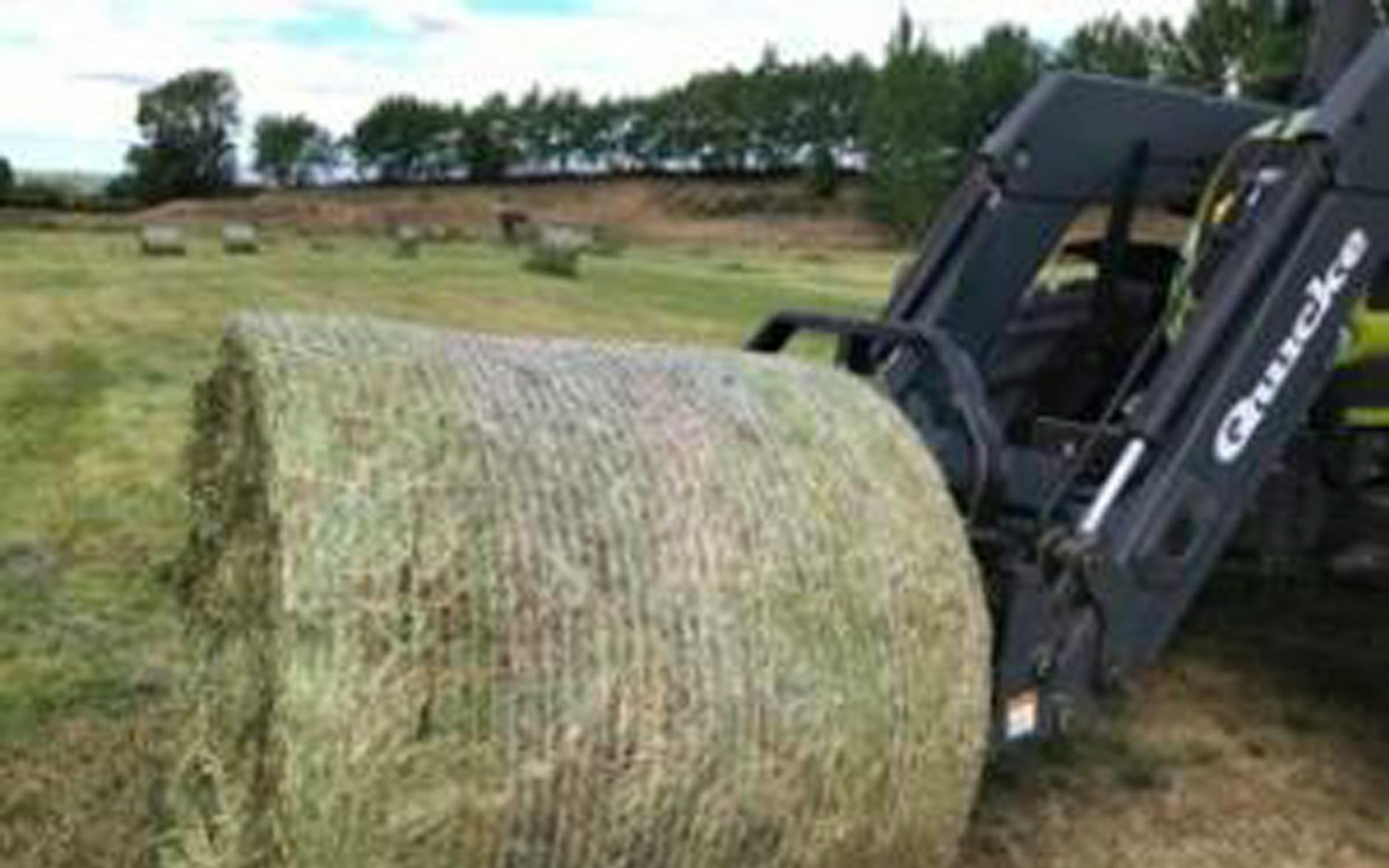 Haymanking