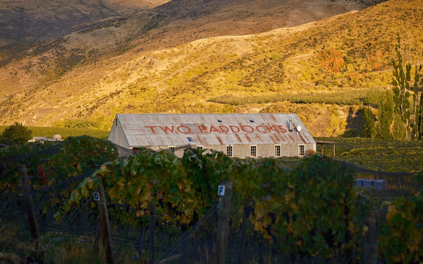 Two Paddocks | Homepage