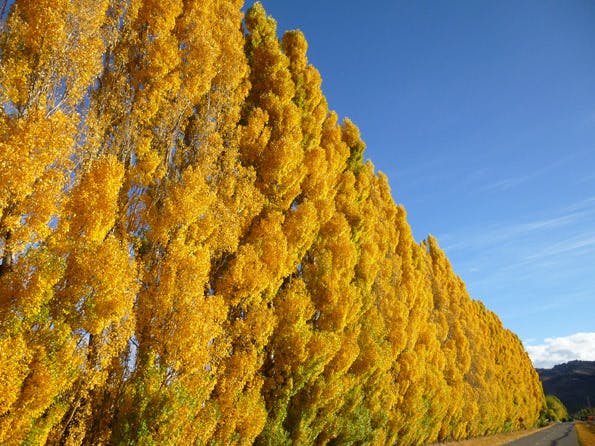 Autum 2013