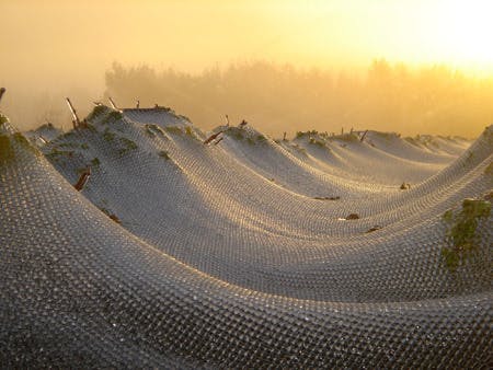 Autumn nets