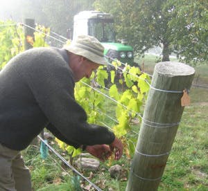 Brian grapes 08 1 1 2 1