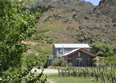 Cellar door
