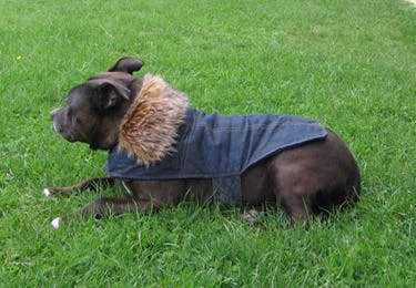 Fire fall coat