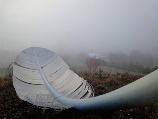 Fog feather1