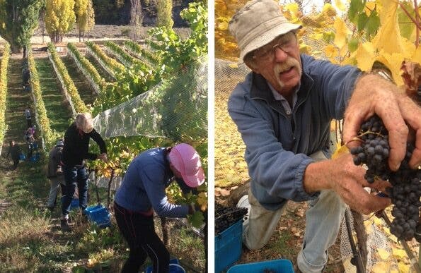 Harvest2015