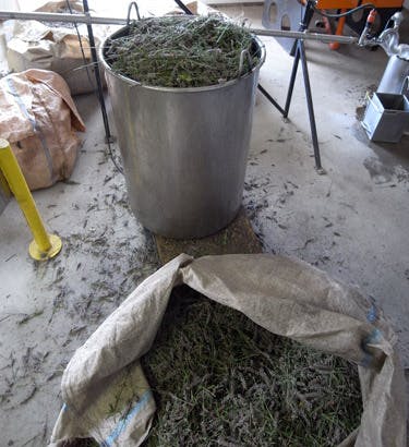 Lavender dist