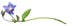 Lupin alone tiny