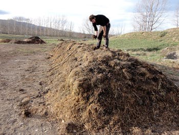 Mike compost