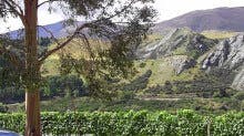 Otago