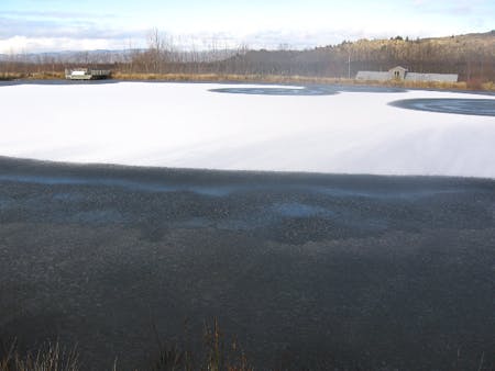 Pond1 09