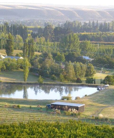 Pond1