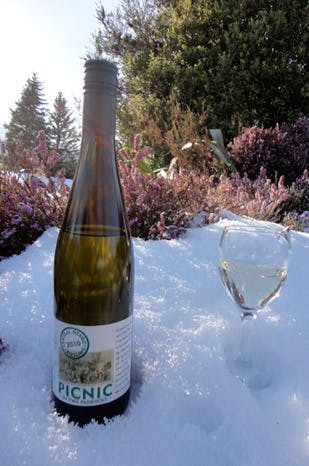 Riesling winter