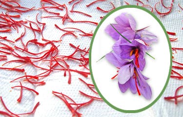 Saffron