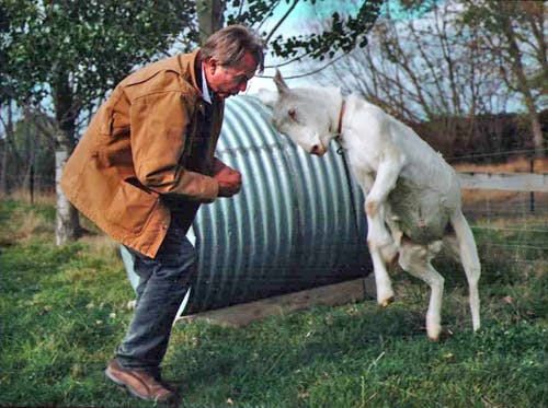 Sam bill