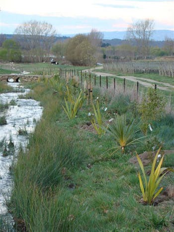 Spring 2012