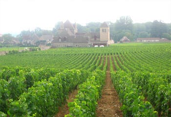 Vougeot