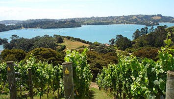 Waiheke