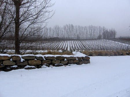 Winter